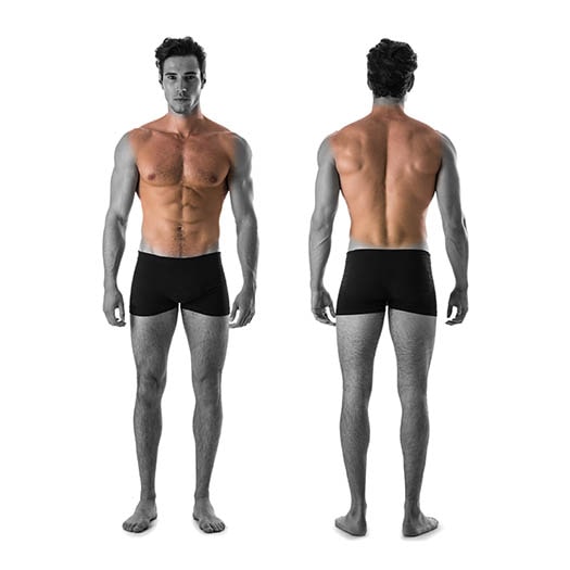 Full back, neck shoulders, upper chest & abdomen.