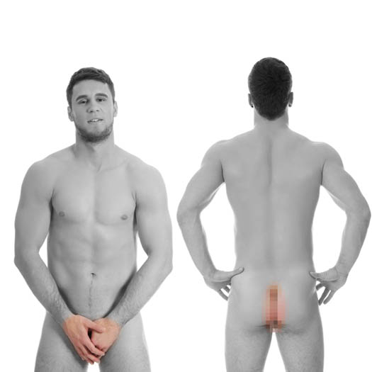 Male genital (Shaft, Scrotum) with Perianal